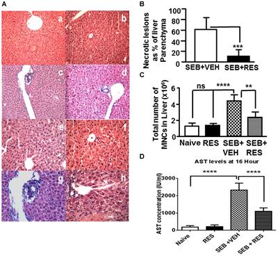 Resveratrol-Mediated Attenuation of Staphylococcus aureus Enterotoxin B-Induced Acute Liver Injury Is Associated With Regulation of microRNA and Induction of Myeloid-Derived Suppressor Cells